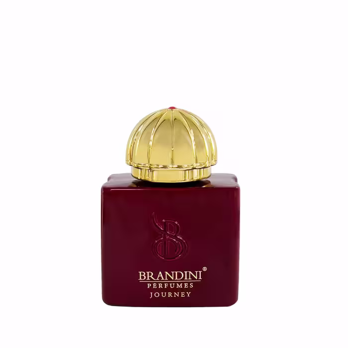 عطر جیبی زنانه برندینی مدل Journey حجم 33 میلی لیتر