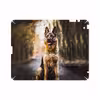 برچسب پوششی ماهوت مدل Dog-1 مناسب برای تبلت اپل iPad 2 2011 A1397