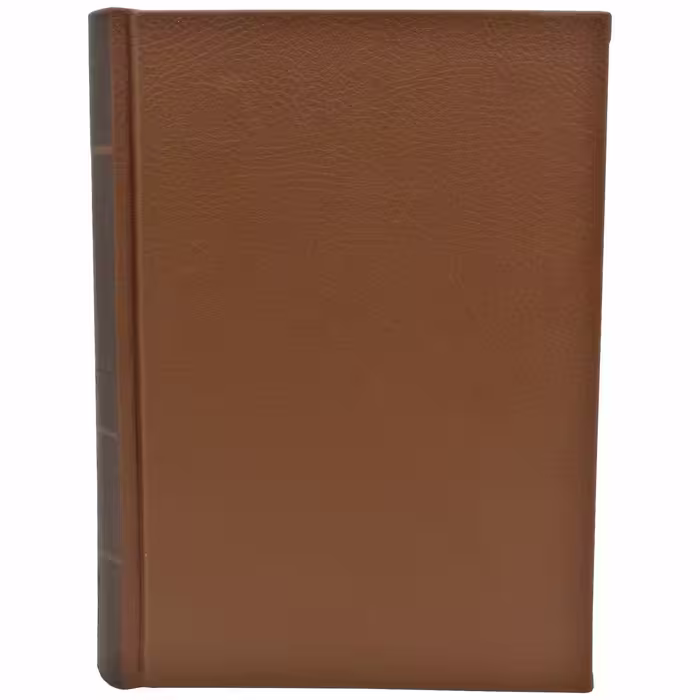 کتاب سلطانه اثر کالین فالکنر انتشارات پارمیس