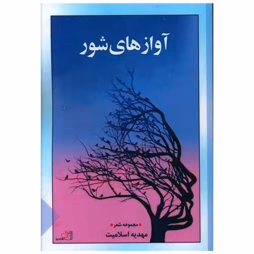 کتاب آوازهای شور اثر مهدیه اسلامیت