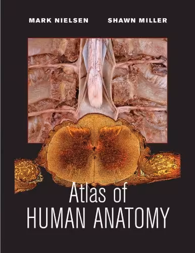 󾕇 دانلود کتاب Atlas Of Human Anatomy, 2011 - دانلود کتاب های دانشگاهی