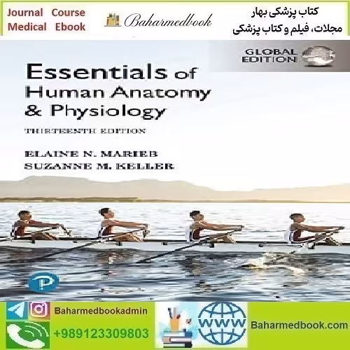 Essentials of Human Anatomy &amp; Physiology 2022
