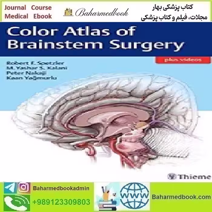 Color Atlas of Brainstem Surgery 2017 TRUE PDF price 1€ - کتاب پزشکی بهار