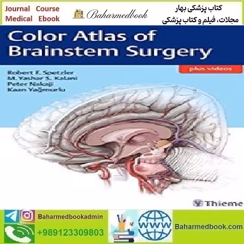 Color Atlas of Brainstem Surgery 2017 TRUE PDF price 1€ - کتاب پزشکی بهار