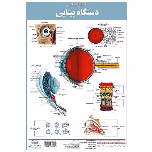 کتاب کالبدشناسی دستگاه بینایی (50*35)