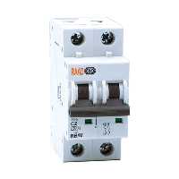 کلید مینیاتوری 2 پل 2 آمپر RB-M-2P-C02-10KA رعد