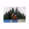 برچسب پوششی ماهوت مدل Equestrianism مناسب برای تبلت اپل iPad Pro 11 2018 A2013