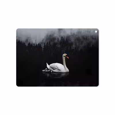 برچسب پوششی ماهوت مدل Swan Lake مناسب برای تبلت اپل iPad Air 2 2014 A1567
