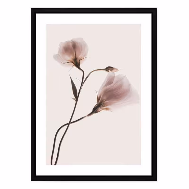 تابلو مدل Pink pastel flower کد 248901357 | دنیای قاب