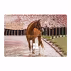 برچسب پوششی ماهوت مدل Horse-1 مناسب برای تبلت مایکروسافت Surface Pro 4 2015
