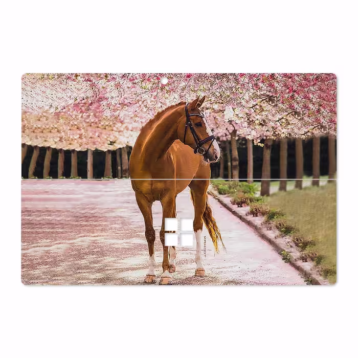 برچسب پوششی ماهوت مدل Horse-1 مناسب برای تبلت مایکروسافت Surface Pro 4 2015