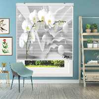 پرده زبرا زیو مدل 3D1111 سایز 150x150 سانتی متر