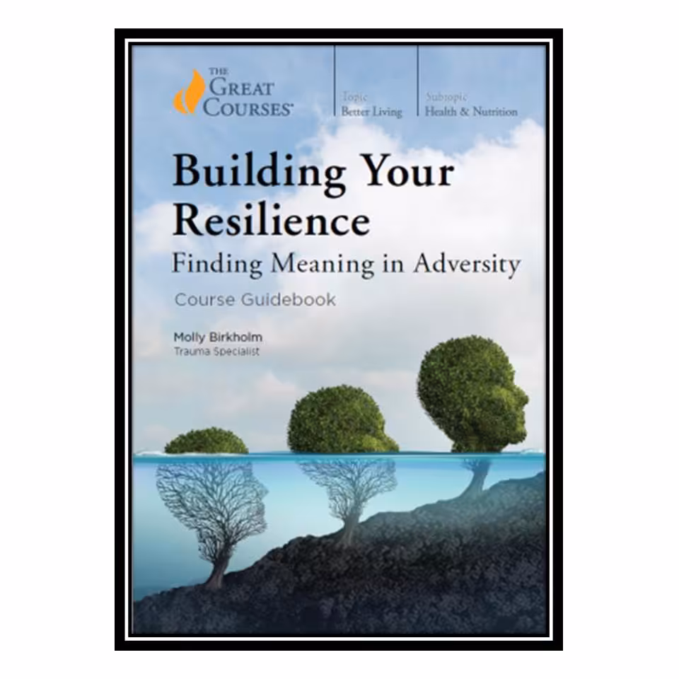 کتاب Building Your Resilience: Finding Meaning in Adversity اثر Molly Birkholm انتشارات مؤلفین طلایی