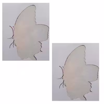 استیکر پارچه و لباس مدل A-22 مجموعه 2 عددی