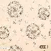 ملحفه آدنو مدل Dandelion کد IR119 دونفره سایز 160x200 سانتی متر