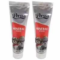 خمیر مینرال سگ پرسا مدل Mineral Paste وزن 100 گرم بسته 2 عددی