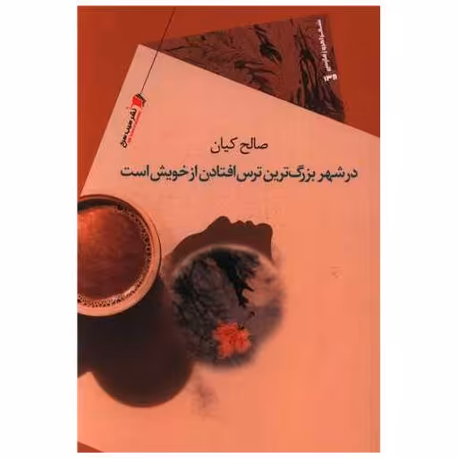 کتاب در شهر بزرگترین ترس افتادن از خویش است اثر صالح کیان