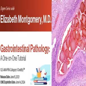 Expert Series with Elizabeth Montgomery M.D Gastrointestinal Pathology A One-On-One Tutorial 2021-Videos PDF at 60€ - کتاب پزشکی بهار