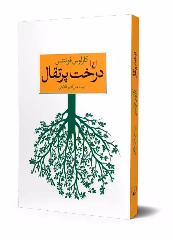 درخت پرتقال