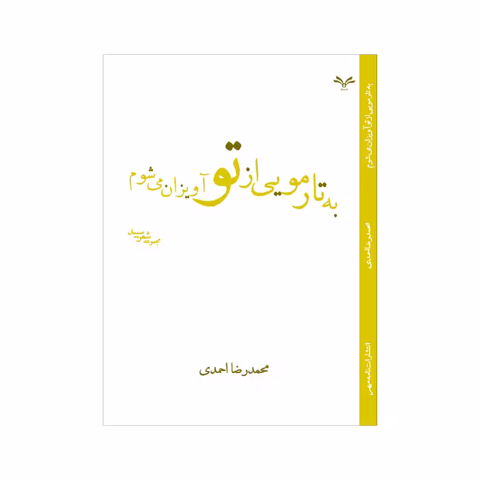کتاب به تار مویی از تو آویزان می شوم اثر محمدرضا احمدی نشر نامه مهر