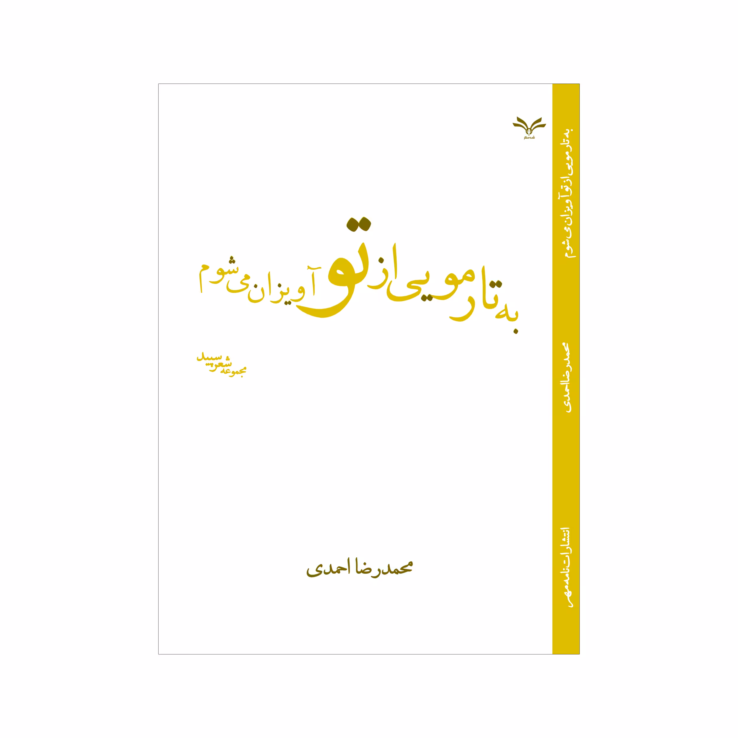 کتاب به تار مویی از تو آویزان می شوم اثر محمدرضا احمدی نشر نامه مهر