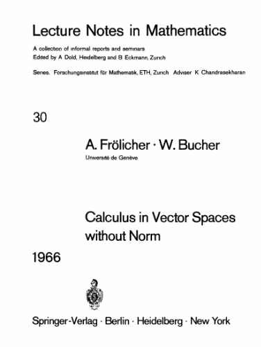 خرید و دانلود نسخه کامل کتاب Calculus in Vector Spaces without Norm