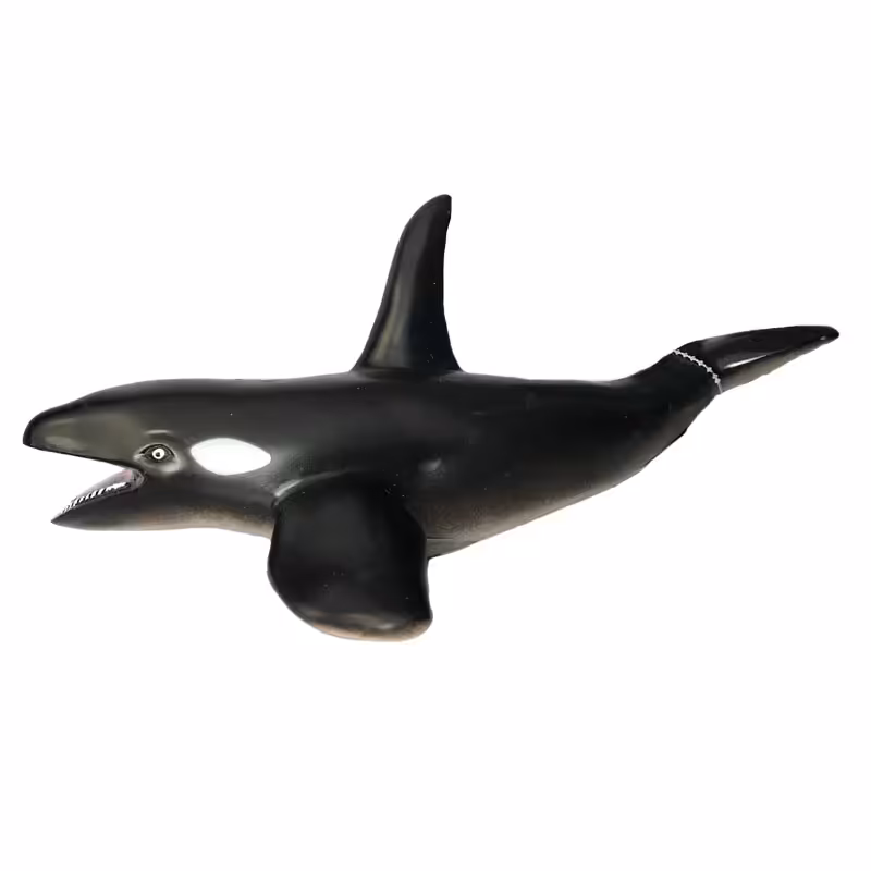 فیگور مدل حیوانات دریایی کوسه