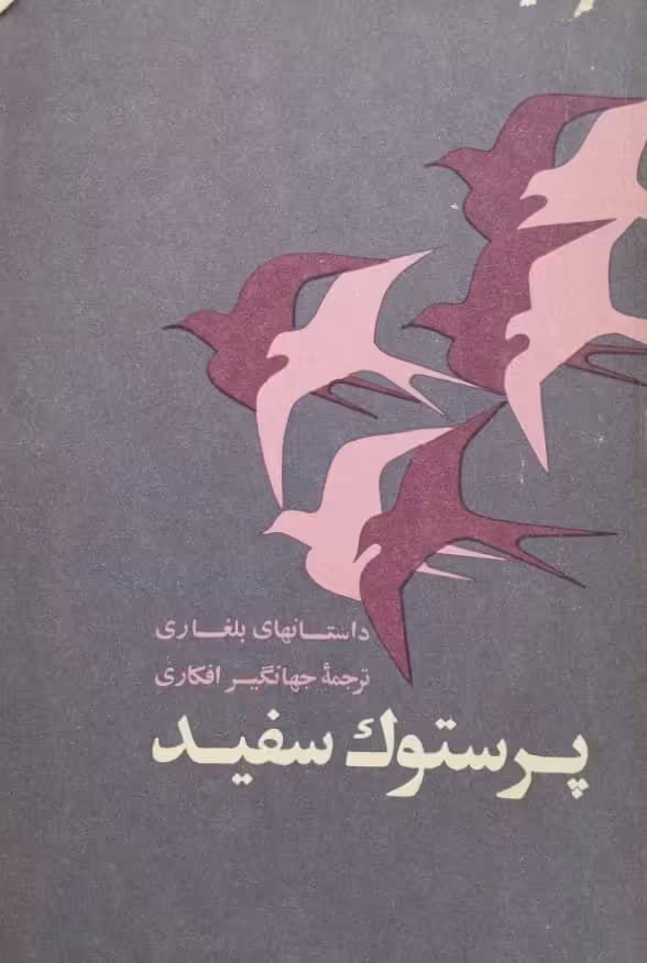 پرستوک سفید
