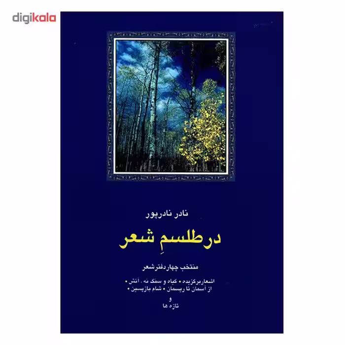 کتاب در طلسم شعر اثر نادر نادرپور