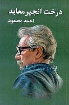 درخت انجیر معابد/2 جلدی | مرکز فرهنگی آبی