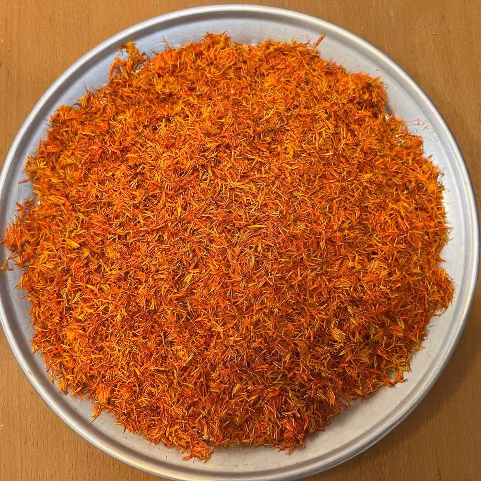 گلرنگ صحرای ما