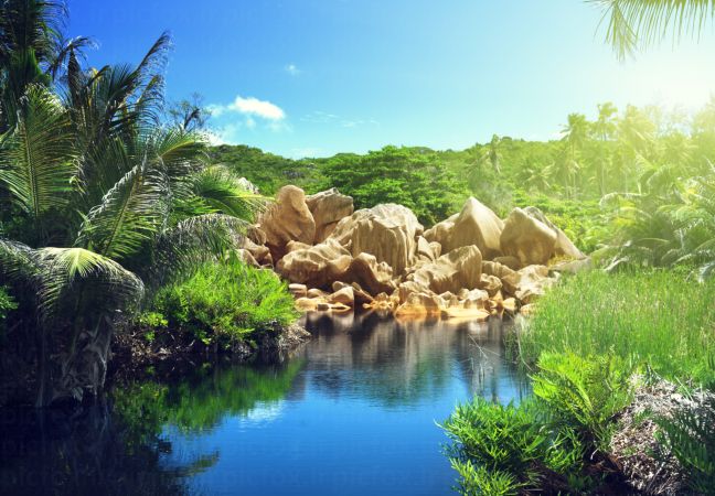 خرید و دانلود عکس Nature-Part-16 کد 35634 | پیک فاکس | Pic Fox