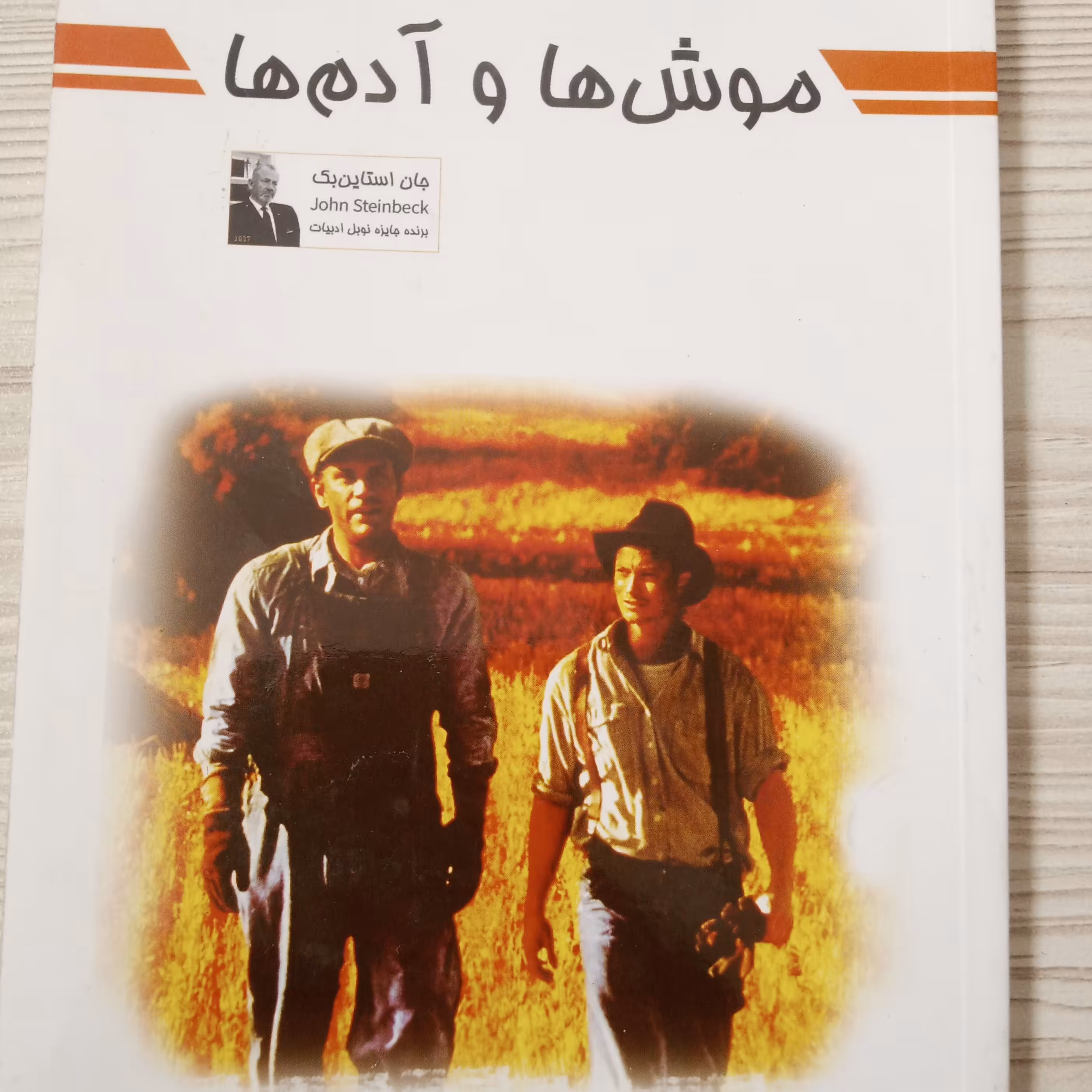 موش ها و آدم ها 