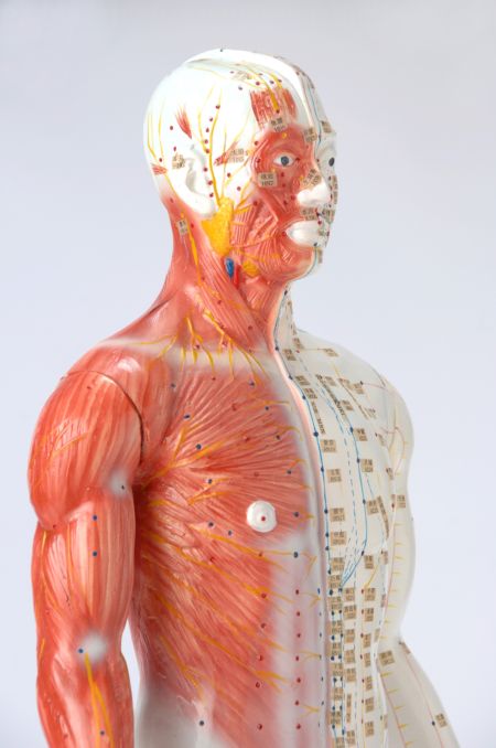 خرید و دانلود عکس Medical-Part-1 کد 32317 | پیک فاکس | Pic Fox