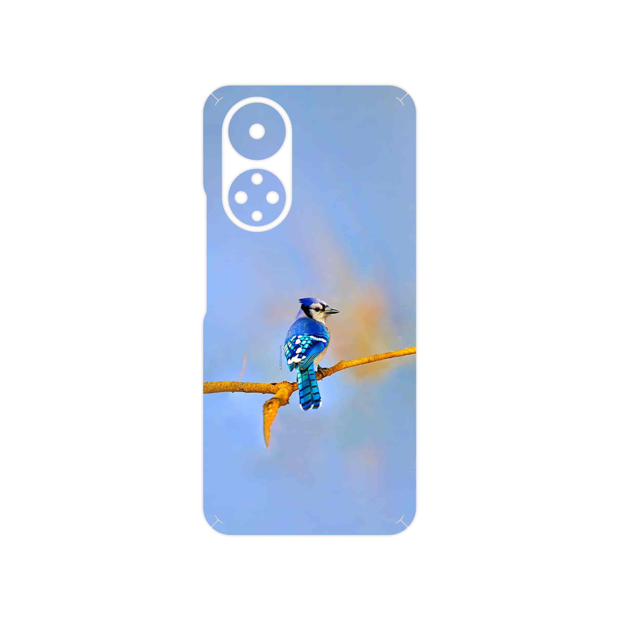 برچسب پوششی ماهوت مدل Cyanocitta cristata مناسب برای گوشی موبایل آنر X7