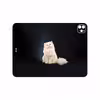 برچسب پوششی ماهوت مدل Persian cat مناسب برای تبلت اپل iPad Pro 11 (GEN 2) 2020 A2068