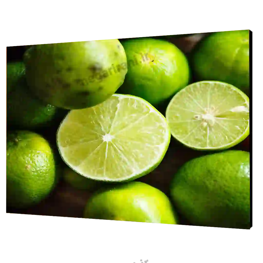 تابلو شاسی  لیمو ترش  مدل  V44