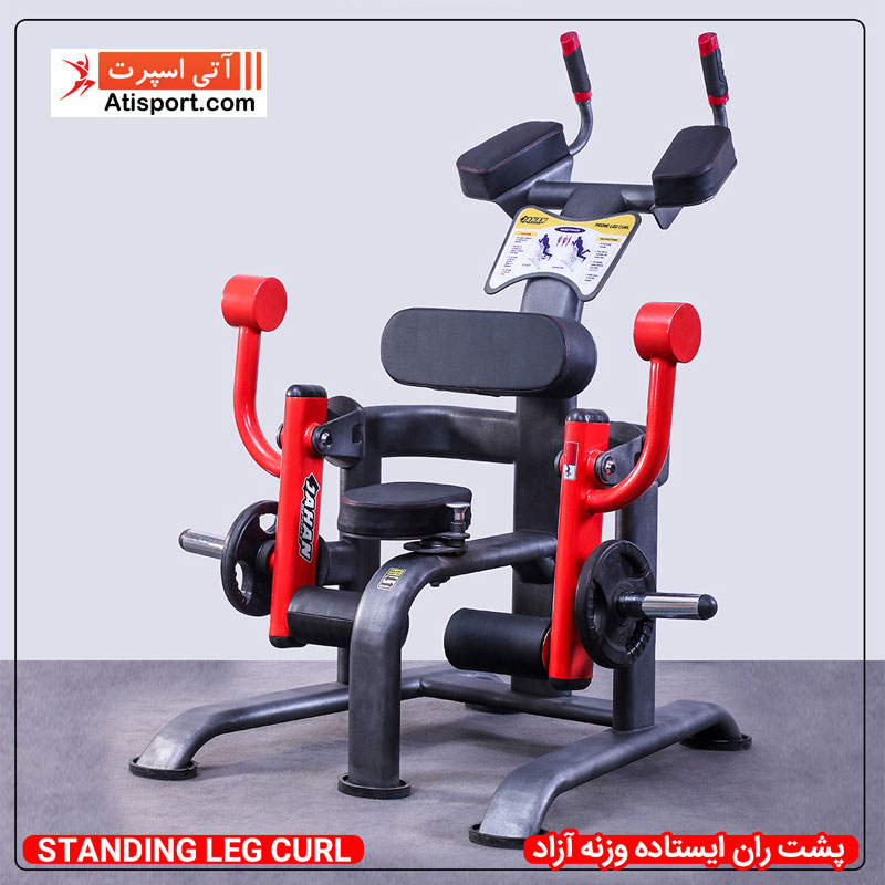 پشت ران ایستاده وزنه  آزاد