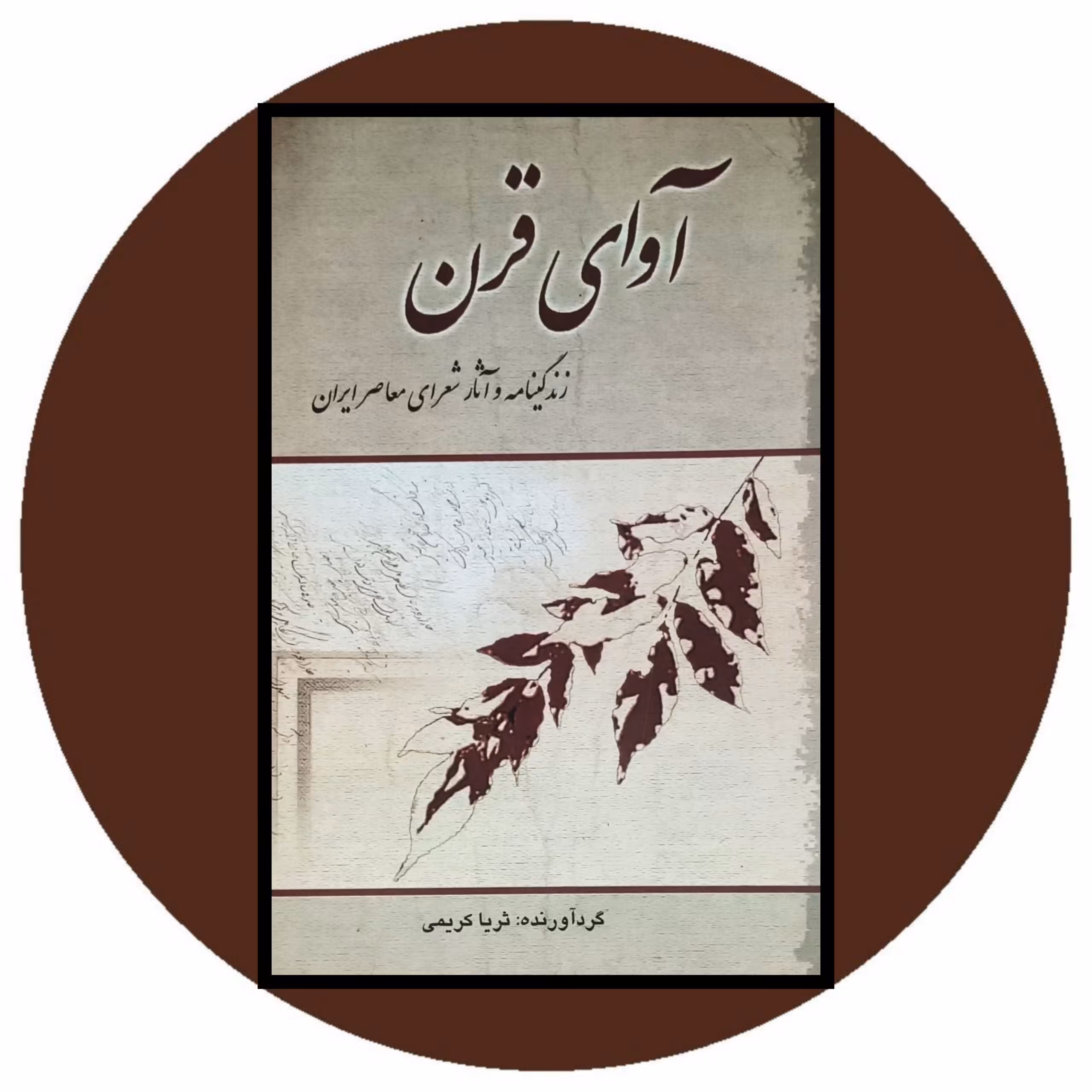 کتاب آوای قرن - خرید با تخفیف چهل درصد از کتاب دایره قهوه ای