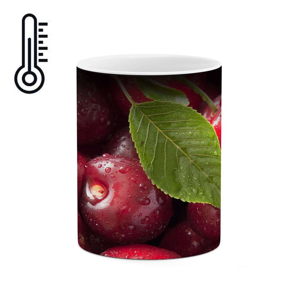 ماگ حرارتی کاکتی طرح گیلاس مدل mgh15635