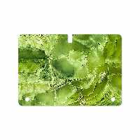 برچسب پوششی ماهوت مدل Green Crystal Marble مناسب برای تبلت سامسونگ Galaxy Tab S 10.5 2014 T805