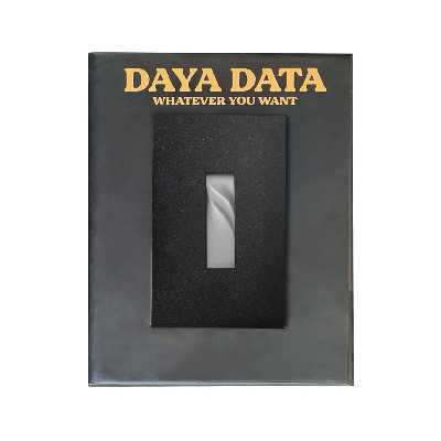 فلش مموری دایا دیتا طرح هاله مدل ME1003 ظرفیت 64 گیگابایت