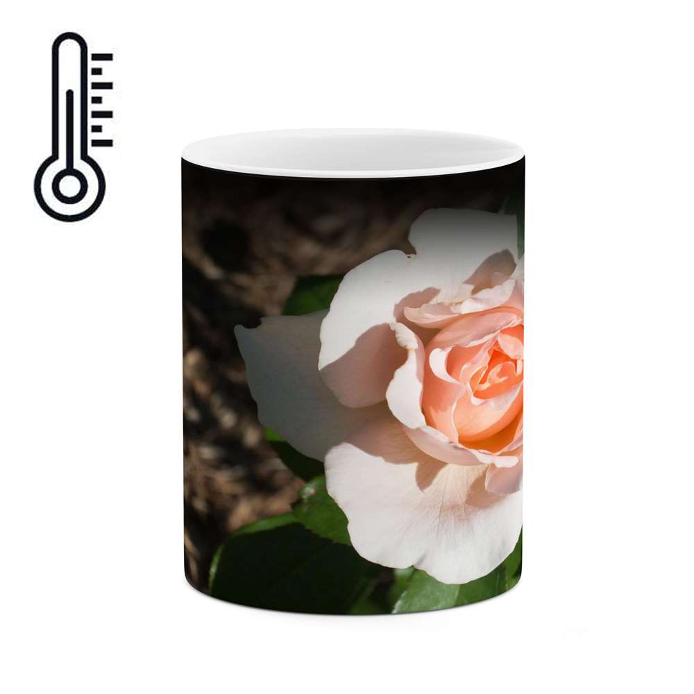 ماگ حرارتی کاکتی طرح گل مدل mgh14186