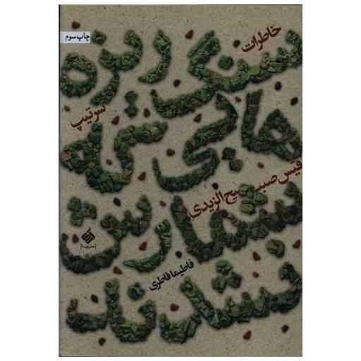 کتاب سنگ ریزهایی که شمارش نشدند اثر فاطیما فاطری