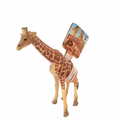 فیگور مدل wild animals مجموعه 6 عددی