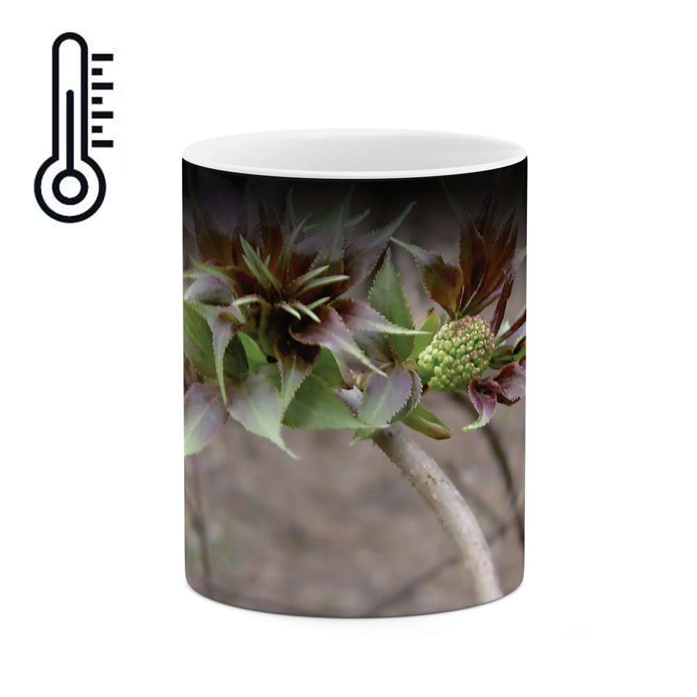 ماگ حرارتی طرح گل مدل mgh02426