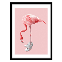 قیمت و خرید تابلو دکوراتیو مدل پوستر تلفیقی فلامینگو کد 1696