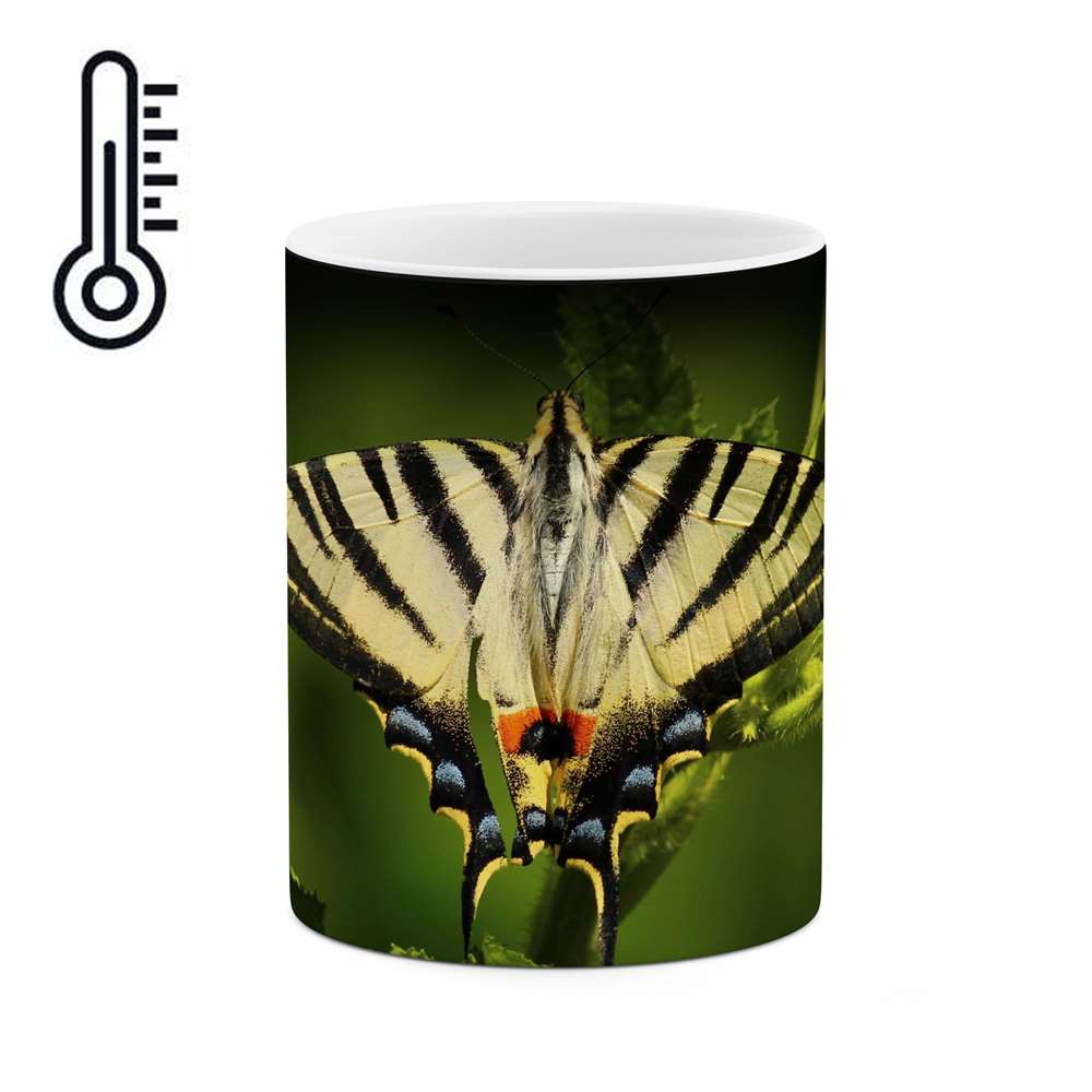 ماگ حرارتی طرح پروانه  مدل mgph14107