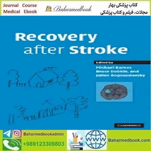 Recovery after Stroke 2010 TRUE PDF price 1€ - کتاب پزشکی بهار