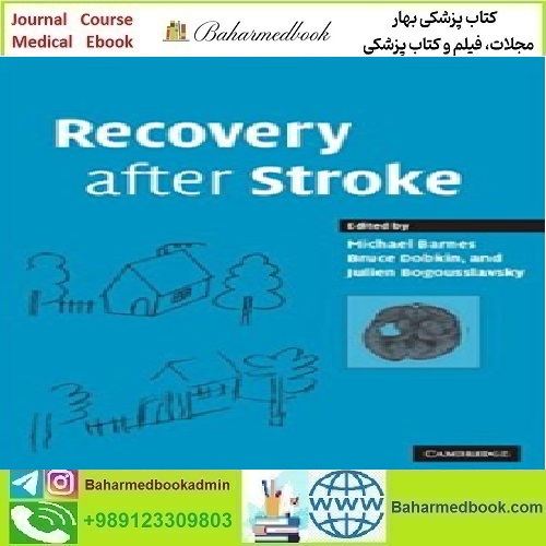Recovery after Stroke 2010 TRUE PDF price 1€ - کتاب پزشکی بهار